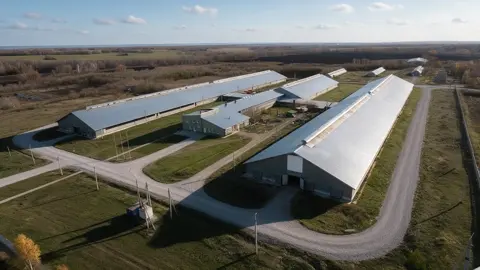 Transform the uploaded aerial photograph of the Lebedevka dairy farm…
